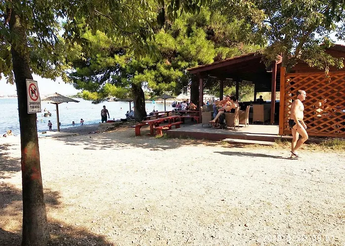 Mare Croazia - - Put Ploca 22 - Sea Croatia Задар